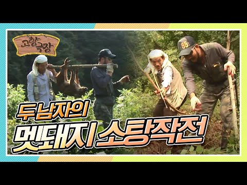 [다시보는 고향극장] 두 남자의 '멧돼지 소탕작전'🐷 KBS 130210 방송