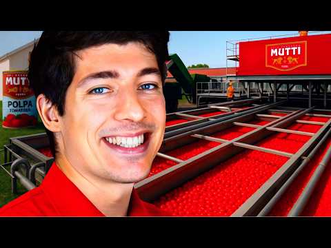 Dentro MUTTI π
Il miglior POMODORO d'Italia