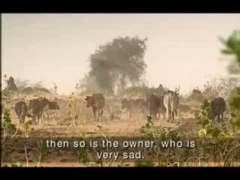 Modern Day Slaves - Niger
