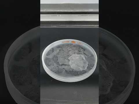 Freezing liquid nitrogen solid