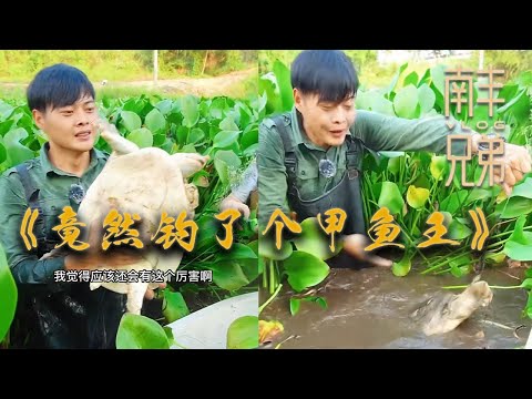 【南豐兄弟捕魚VLOG】在荒廢的甲魚塘裏面放地鉤,竟然釣了個甲魚王,沒想到最後...