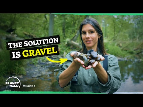 How one person saved a river