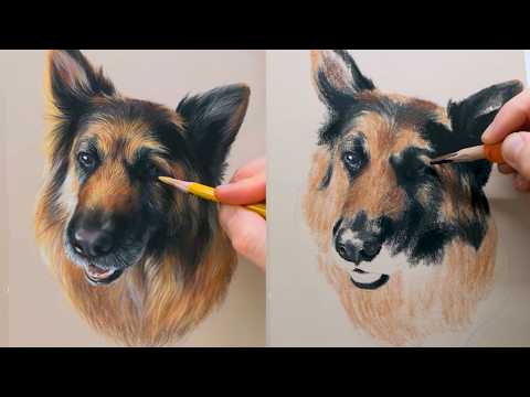 How to Draw Pet Portraits | Pastel Pencils