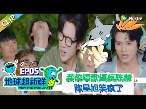 【地球超新鲜CLIP】：龚俊唱歌魔性洗脑逼疯陈赫！刘宇宁职业生涯大挑战！陈星旭笑疯了！#刘宇宁 #龚俊 #陈赫 #李乃文 #孙红雷