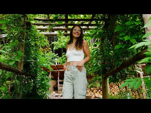 My Off Grid Life | Surrounded by cougars and bears