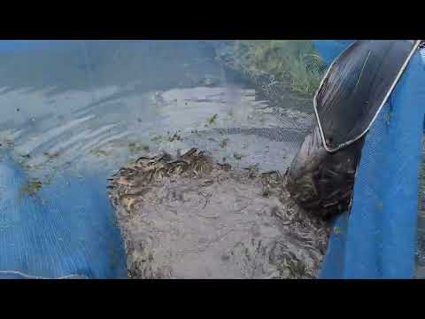 여기는토하시대 금산군금성면