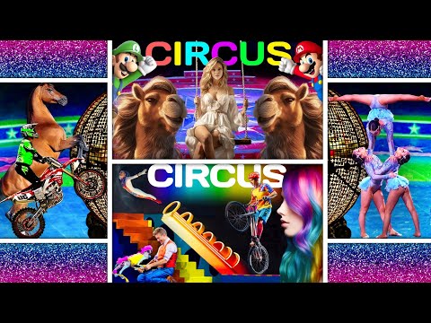 Circus Best Show 🤡 Cool Fun Collection Circus Moments