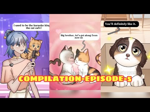 Compilation These Cats Will Melt Your Heart… and Break It Too! - Ep. 5