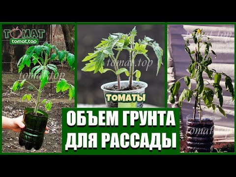 Soil volume for tomato seedlings. What is the minimum volume of soil needed for tomato seedlings?