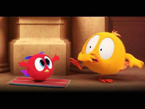 Where's Chicky? Funny Chicky 2023 | MAGIC CARPET | Cartoon in English for Kids | New episodes