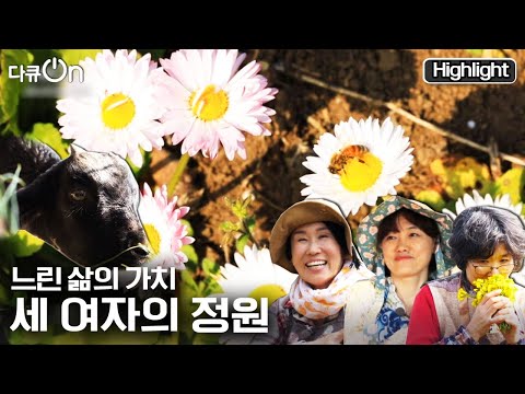 [다큐온] 바쁜 삶에서 벗어나 나만의 정원을 가꾸며 살아가는 세 사람의 이야기 |  “세 여자의 정원” (KSB 210416 방송)