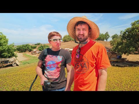 farmers with brain damage returns returns