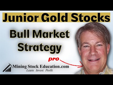 Junior Gold Stock Bull Market Strategies with Dave Kranzler