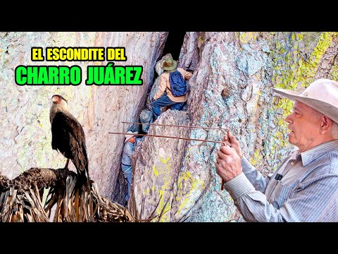 Aquí hay MONEDAS DE ORO para el que QUEPA Y SE ANIME a entrar mas al fondo de la CUEVA