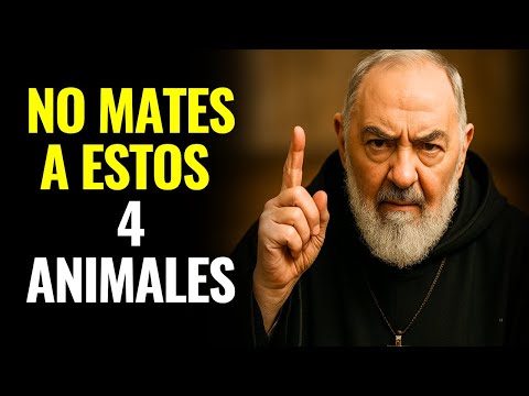 LA ADVERTENCIA ATERRADORA QUE RECIBIÓ PADRE PÍO: ¡4 ANIMALES QUE NINGÚN CRISTIANO DEBE MATAR!