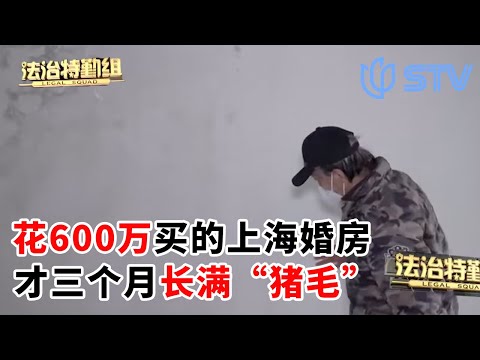 花600万为儿子买的上海婚房，3个月后却傻眼!！老伯崩溃，到处是“猪毛”#法治特勤组 FULL