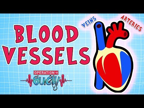 Operation Ouch - Blood Vessels | Science for Kids