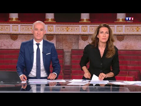 🔴 Élections législatives : suivez notre soirée spéciale sur TF1