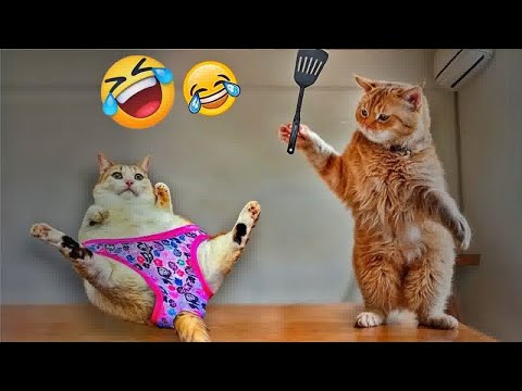You Laugh You Loseπ€£π€£π€£πFunniest Dogs and Cats 2025πΉπΆ