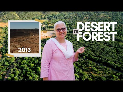 She Turned Barren Desert Into A Thriving Forest in Rajasthan