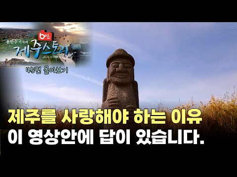 "제주를 사랑해야 하는 이유". 이 영상안에 답이 있습니다. #60초제주스토리#2017년~18년_45편#한국영상기자협회수상작#제주도#제주#사계절#여행#핫플레이스#제주뉴스#서귀포시