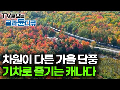 현지인도 13년 기다렸다 🍁 캐나다 단풍 코스 쏙쏙 골라 온 동부 여행｜누구나 한 번쯤 캐나다 가을 단풍｜세계테마기행｜#골라듄다큐