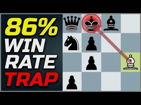 7 Most Successful Gambits