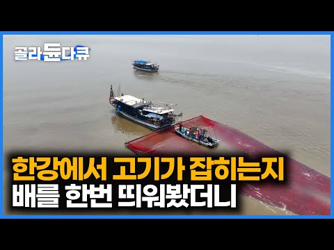 [ENG SUB] Only 26 Licensed Fishermen Left On The Han River And The Rare Fish They Catch #PICKDOCU