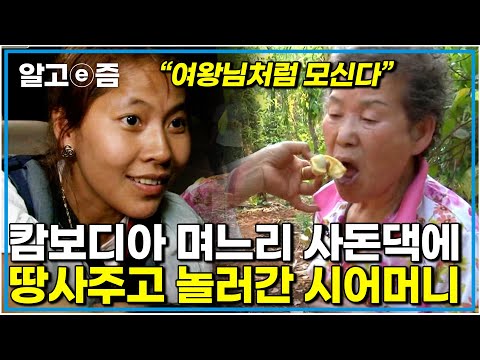 "사실 이 과수원도 어머니 돈이에요" 버스도 못타게 하던 어머니의 특급 반전 며느리의 가족은 두발 벗고 시어머니를 맞이한다│다문화 고부 열전│알고e즘