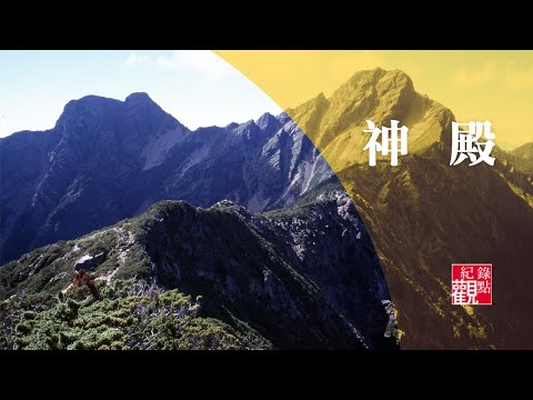 尋找台灣特有珍貴古老樹種  高山上的巨木│紀錄片【神殿】正版線上看│柯金源