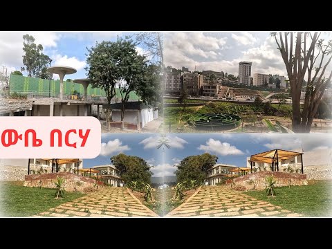 🔴WUBE BEREHA Addis Ababa walk and talk Ethiopia 4K 2025