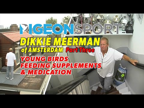 Young Birds with Dikkie Meerman - Part Three