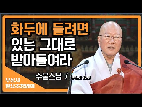 화두에 제대로 들려면 있는 그대로를 받아들여라 [수불스님 무상사 일요초청법회]