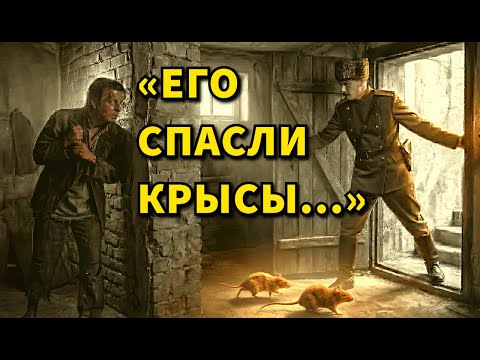 ВСЯ ЖИЗНЬ - ДОЛИНА СМЕРТНОЙ ТЕНИ. Секрет верности человека Богу, хотя жизнь была НЕПРОСТОЙ.