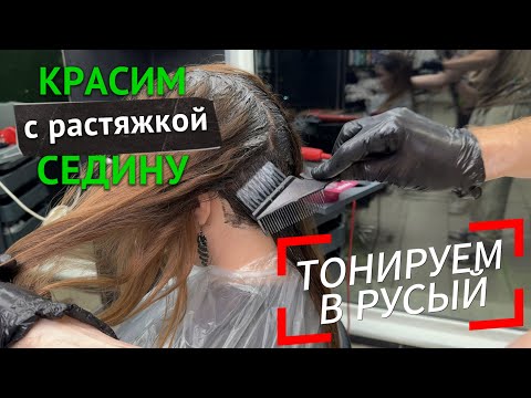 How to cover gray hair and tone hair to a natural shade without red or yellow