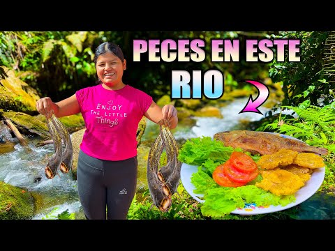 El secreto para capturar PECES en los rios pequeños de la montaña - NATHALIA