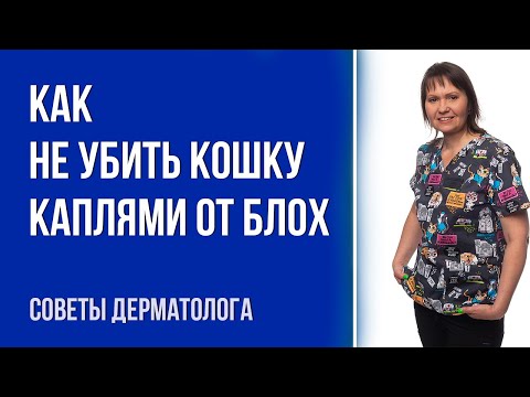Самое большое видео об обработке кошек от блох и глистов | Интервью с ветеринаром дерматологом