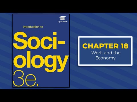 Chapter 18 - Introduction to Sociology 3e - OpenStax (Audiobook)