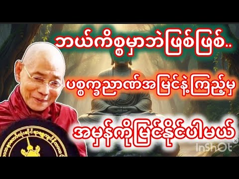 ဘယ်ကိစ္စမှာဘဲဖြစ်ဖြစ်ပစ္စက္ခဉာဏ်အမြင်နဲ့ကြည့်မှအမှန်ကိုမြင်နိုင်ပါမယ်-ပါချုပ်ဆရာတော်#dhammatalks 