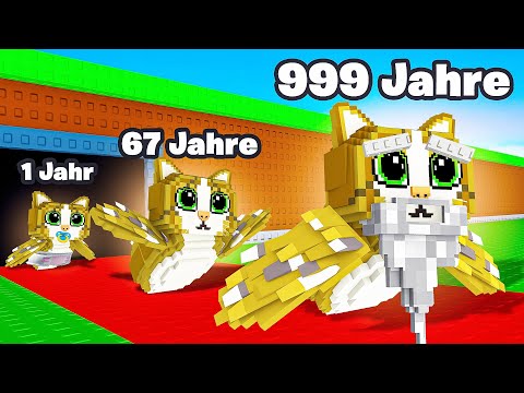 JEDE MINUTE +1 JAHR ÄLTER in Steal a Brainrot!