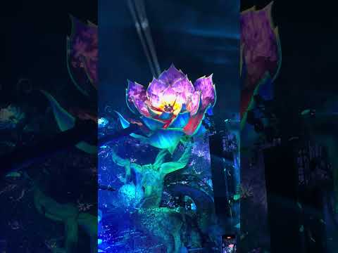 Tomorrowland 2024 - Mainstage Flower