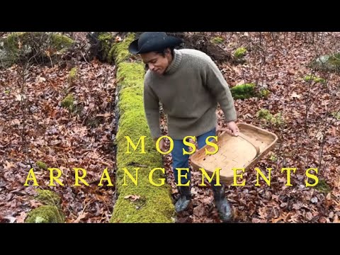 CREATIVE HOLIDAY CENTERPIECES - With Rajiv Surendra