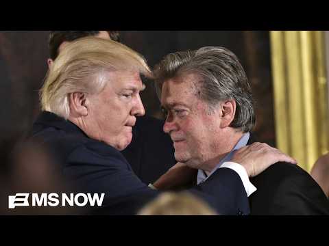 ‘Golden era to be a rich criminal in America’: Trump Justice Department comes to defense of allies