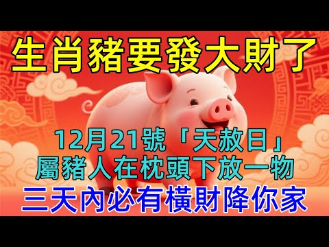 生肖豬必看！12月21號「天赦日」，屬豬人在枕頭下放一物，三天內就有橫財降臨，保你財運連旺一整年，乞丐也能翻身變富翁！ #生肖运势#佛陀#佛學 #佛法 #佛教 #修行 #智慧 #因果 #佛家