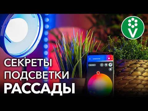 ВОТ ПОЧЕМУ ВАМ НЕ НУЖНЫ ФИТОЛАМПЫ ДЛЯ ДОСВЕЧИВАНИЯ РАССАДЫ! Эффективно и дешево подсвечиваем рассаду