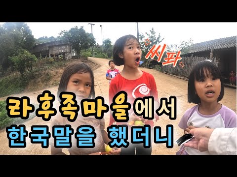 태국-미얀마 국경 라후족 마을에 한국인이 가면 생기는 일 - 태국 세계여행 🇹🇭 [55]