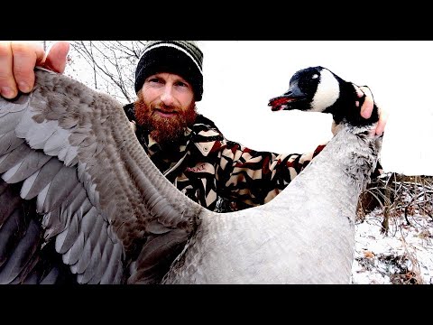 Cooking WILD GOOSE Burger In The FOREST (Start-to-Finish) | ASMR (Silent)