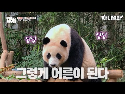 That's How You Become An Adult…