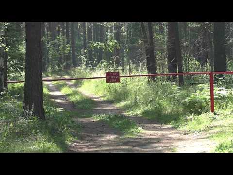 Пошёл в лес по грибы, А ТАМ ОПАСНО ДЛЯ ЖИЗНИ!!! Опасно для жизни ходить в лес за грибами!