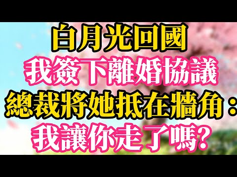 白月光回國，我簽下離婚協議，總裁將她抵在牆角： 我讓你走了嗎？